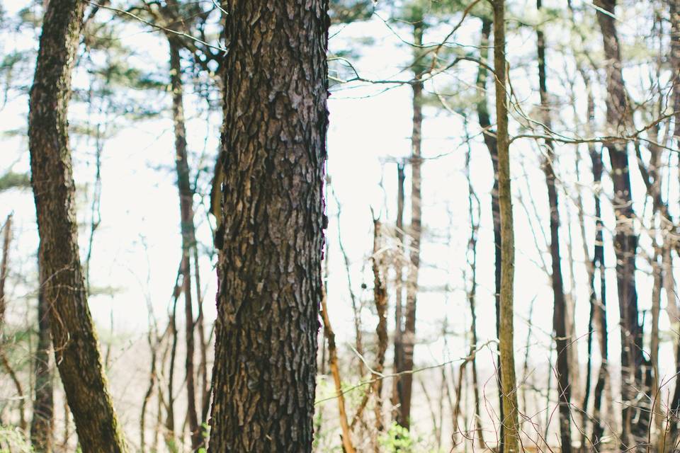 Rachel Joy Barehl
