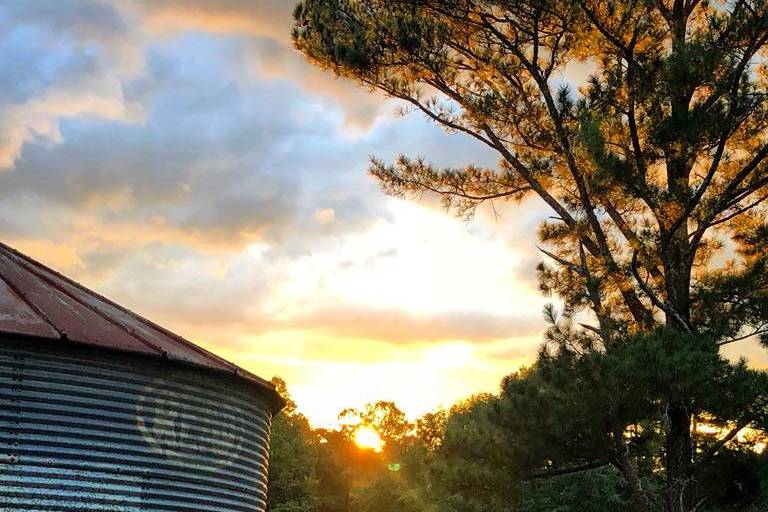 Sunset over Muse Farms