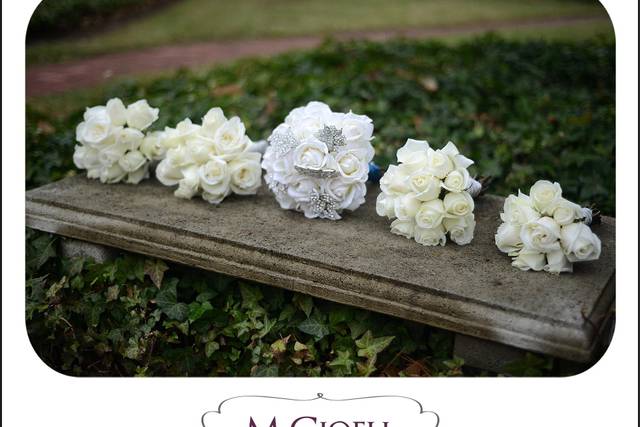 M.Gioeli Photography