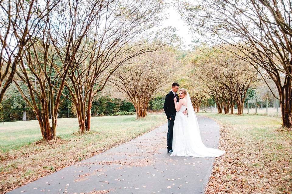 Couple, trees