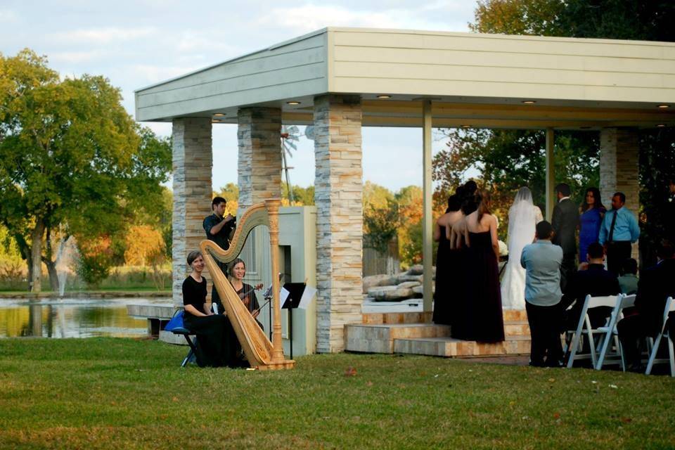 Susanna Campbell, Harpist