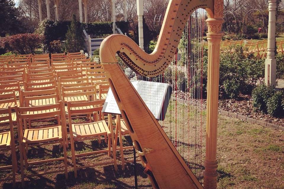 Susanna Campbell, Harpist