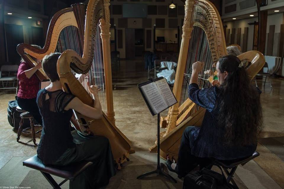 Susanna Campbell, Harpist