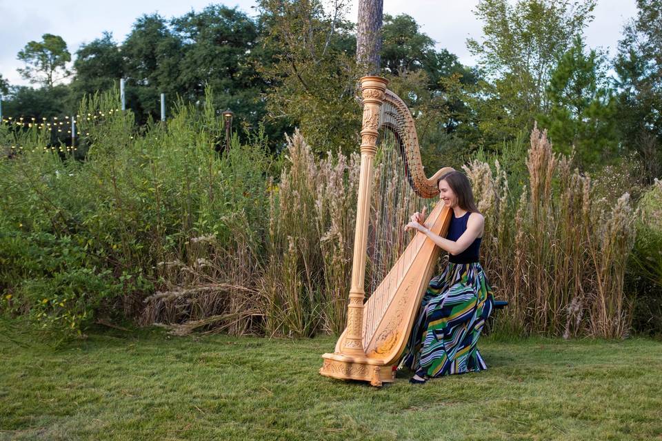 Susanna Campbell, Harpist