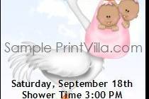 Pink Stork Baby Shower Ticket Invitation
Choice of Single, Twins or Triplets
Choice of Skin Color