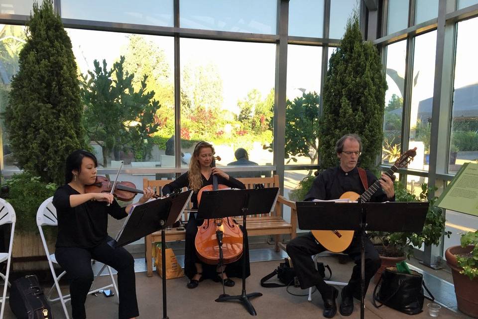 Denver Botanic Gardens Trio