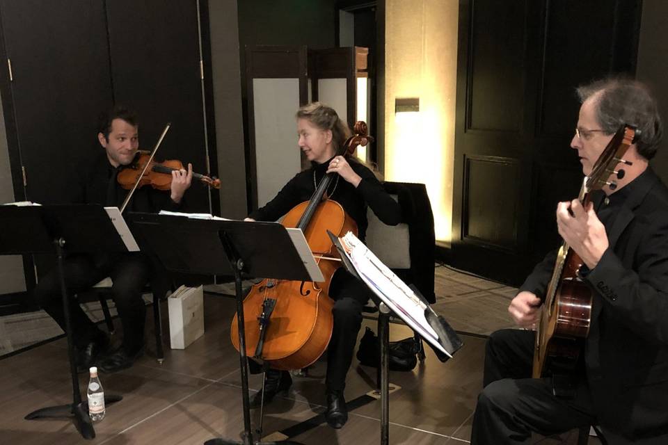 Denver string trio