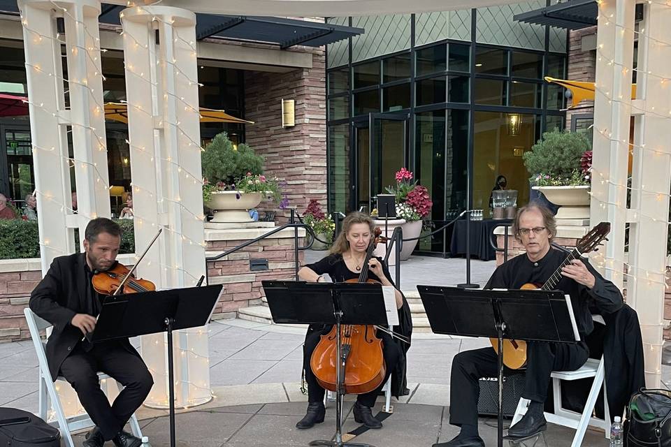 String trio at the St Julien