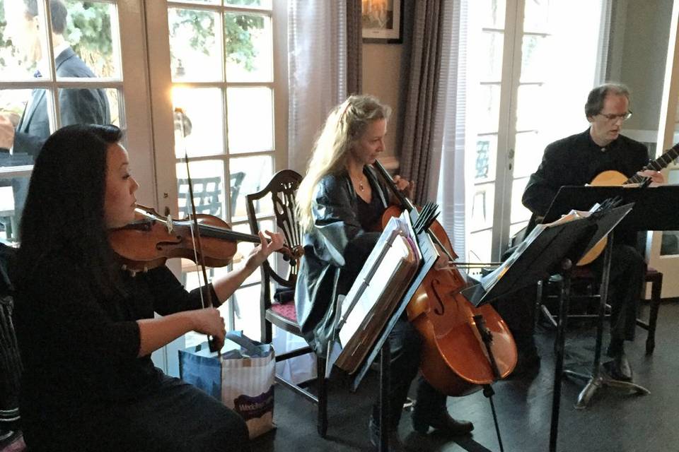 String trio at the Manor House