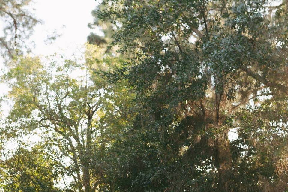 Wedding photography