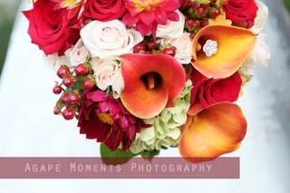 Stems & Vines Floral Boutique