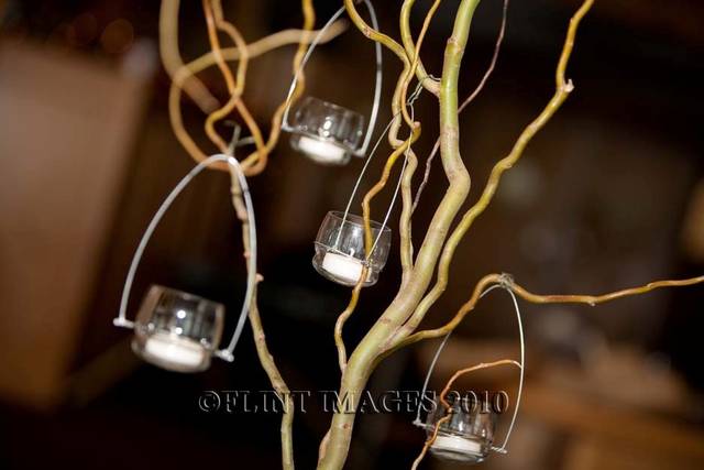 Stems and Vines