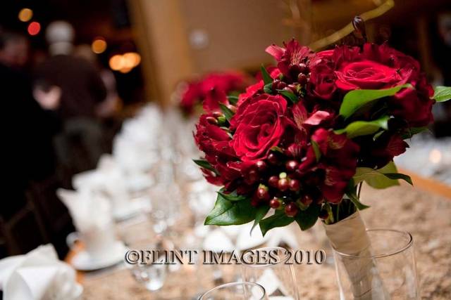 Stems and Vines