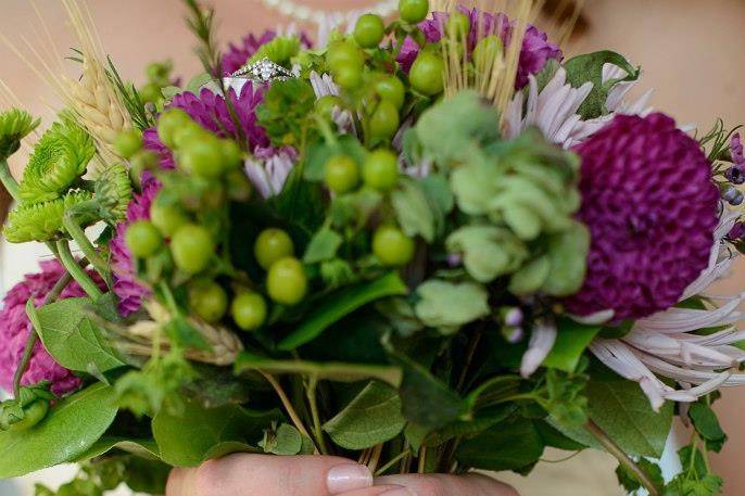 Stems and Vines