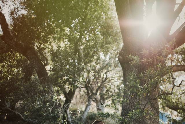 Michael Stephens Photography