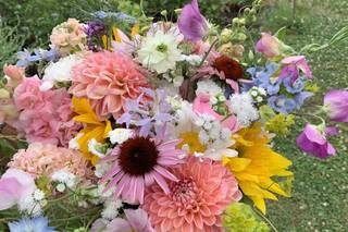 Happy Hen Gardens
