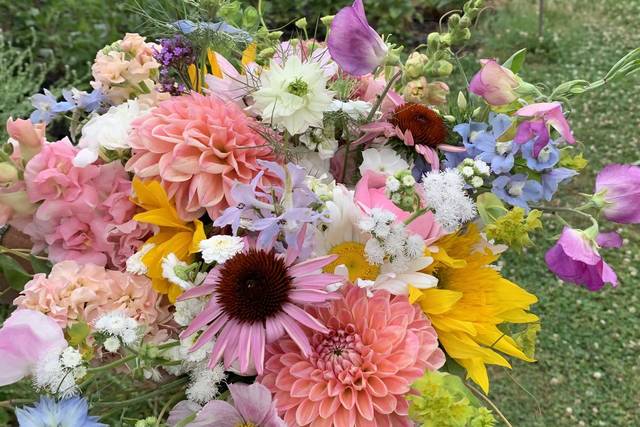 Happy Hen Gardens