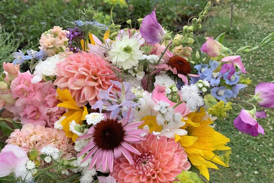 Happy Hen Gardens