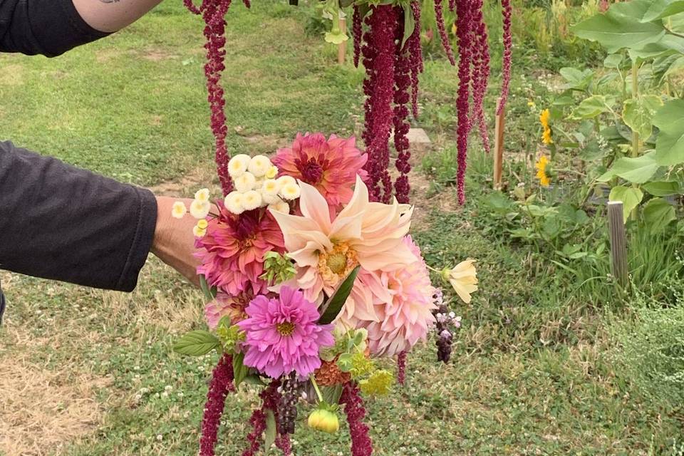 Amaranth bridal