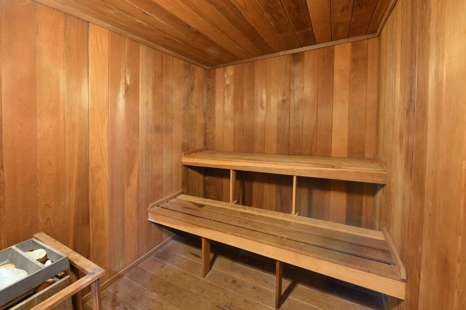 Sauna for Two?