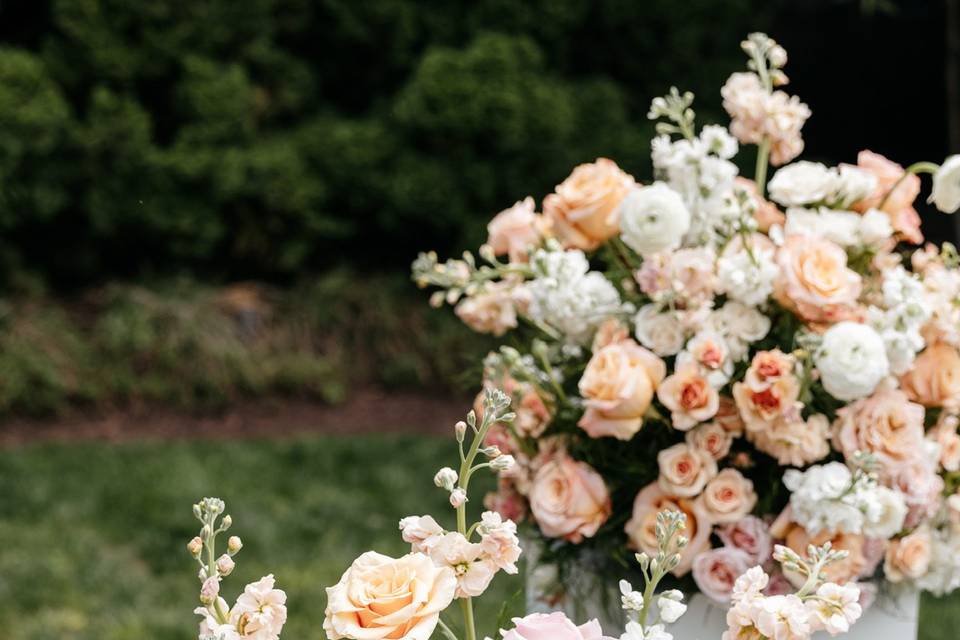 @lydiamcraephotography