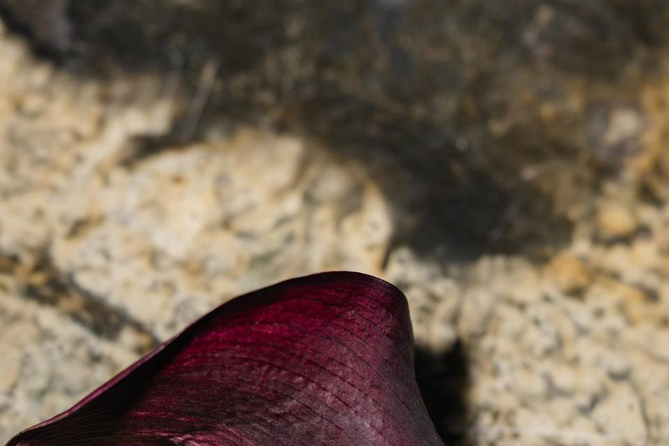 @juliastylesphotography