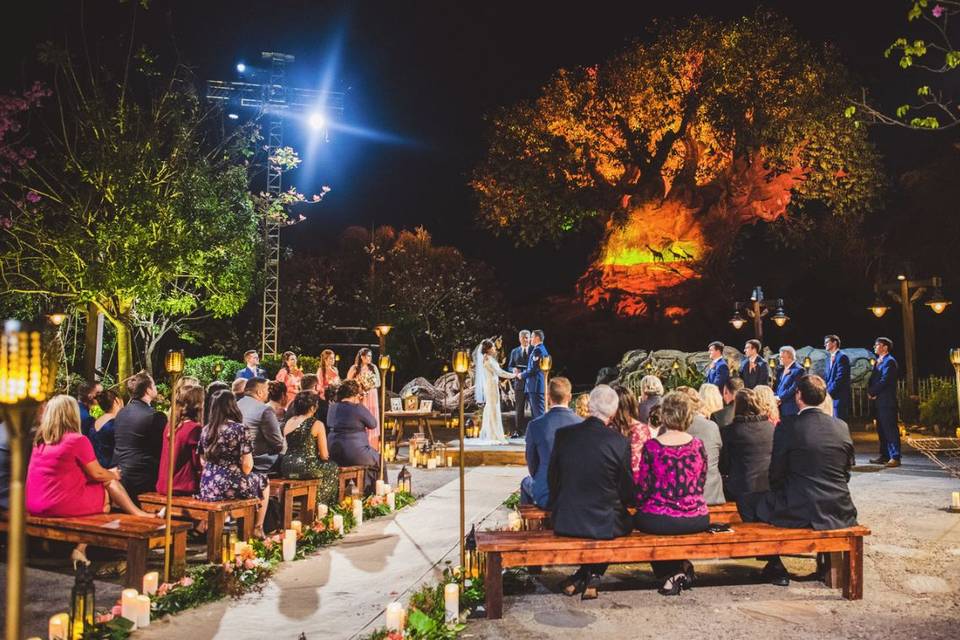 Wedding at Animal Kingdom