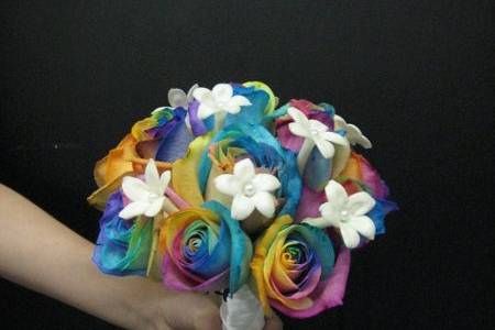 Rainbow roses from Holland