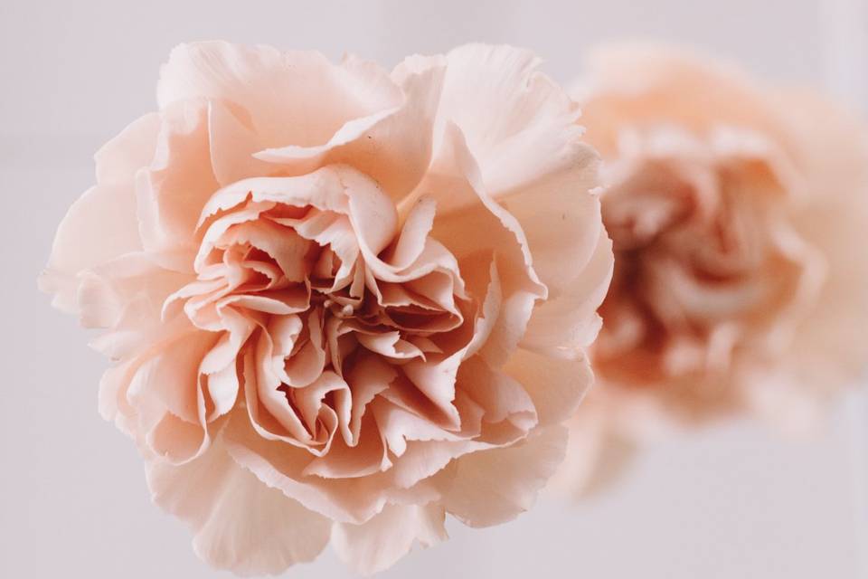 Wedding photography california