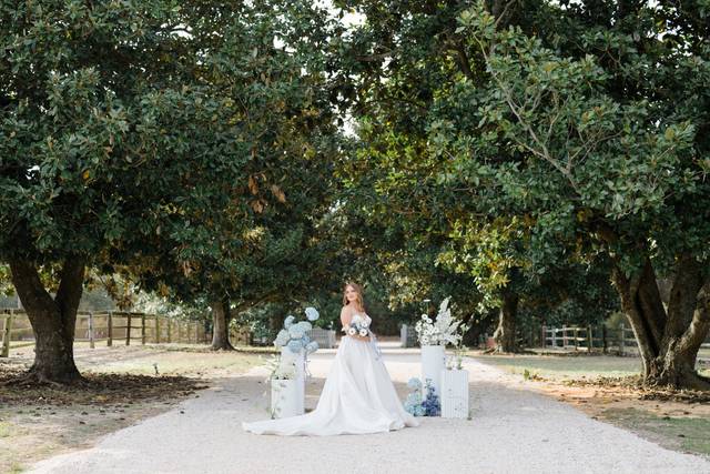 The Magnolia Drive