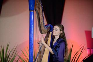 Dr. Vanessa Fountain, Harpist