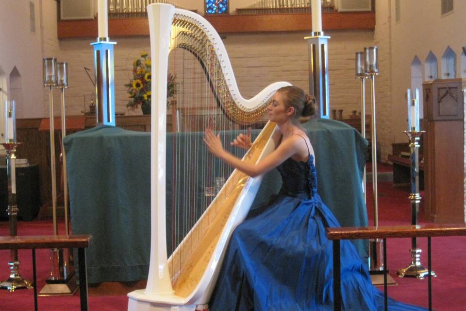 Harpist