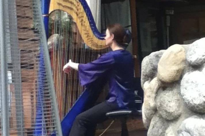 Dr. Vanessa Sheldon, harpist