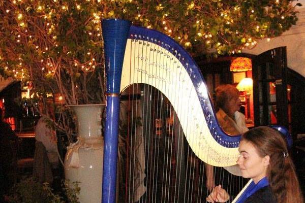 Dr. Vanessa Sheldon, harpist