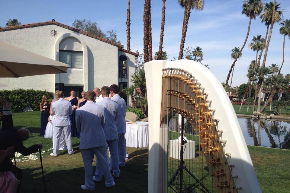 Dr. Vanessa Sheldon, harpist