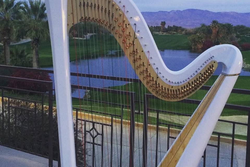 Dr. Vanessa Sheldon, harpist