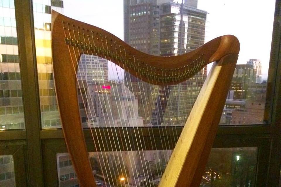 Dr. Vanessa Sheldon, harpist