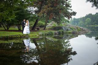 Bradshaw Photography