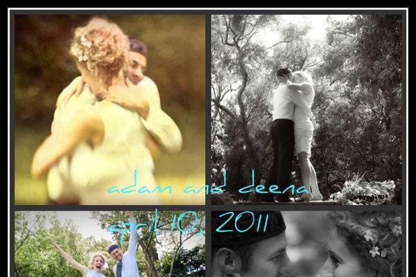 Laura Turbow Photography