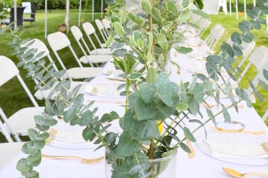 Backyard Wedding