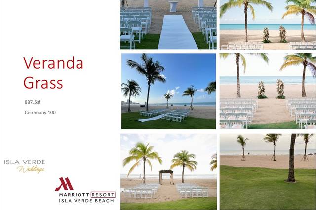 Veranda Grass
