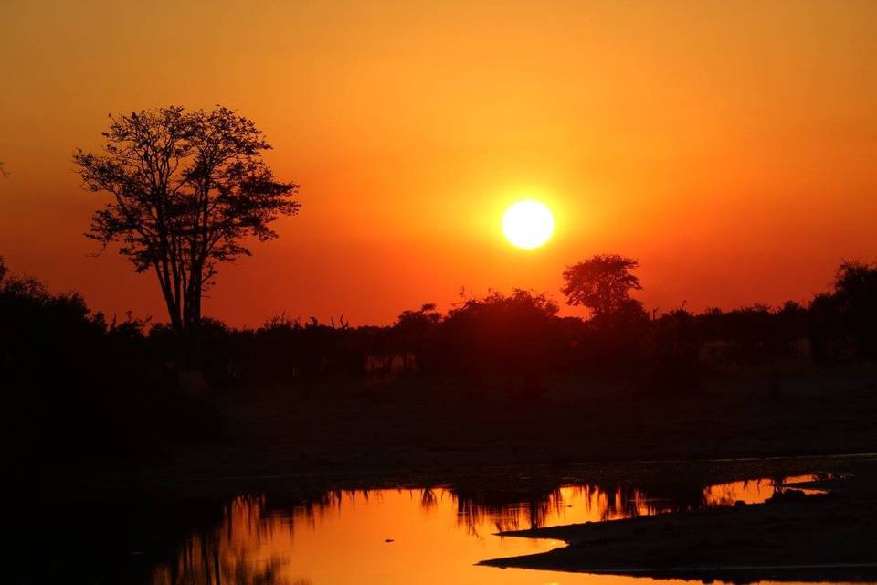 African Safari Sunet