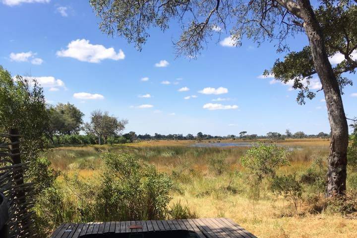 Private Pool overlooking the Okavango Delta
