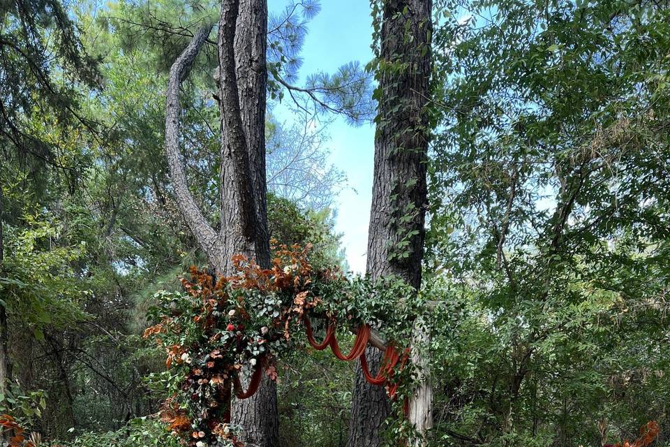 Arbor