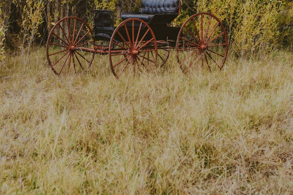 Canary Barn Carriage
