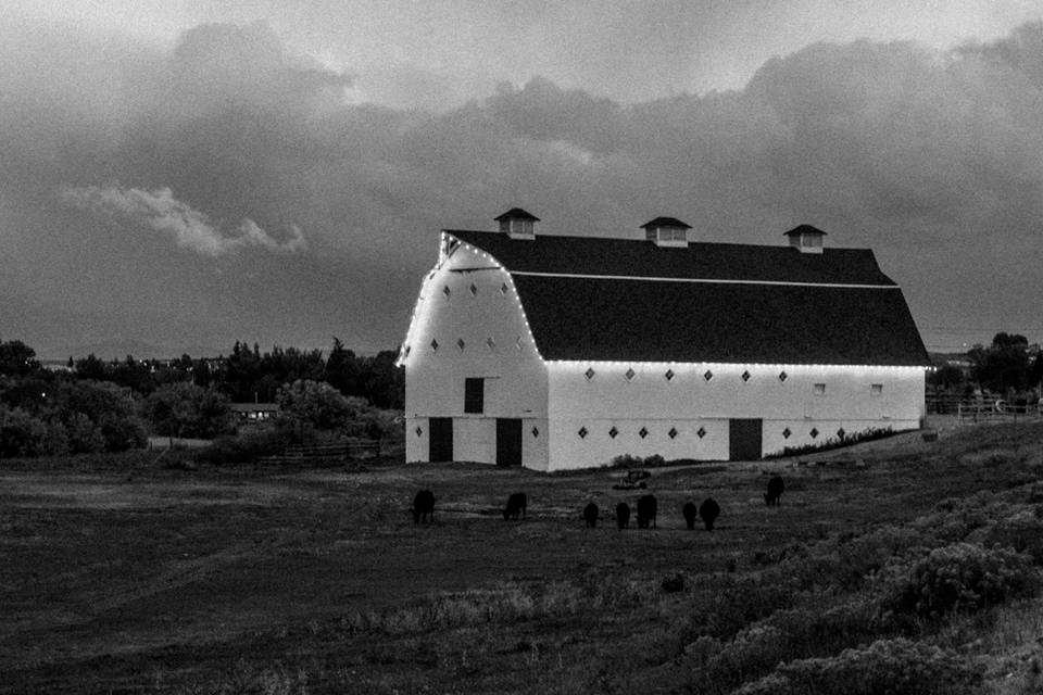 The Canary Barn