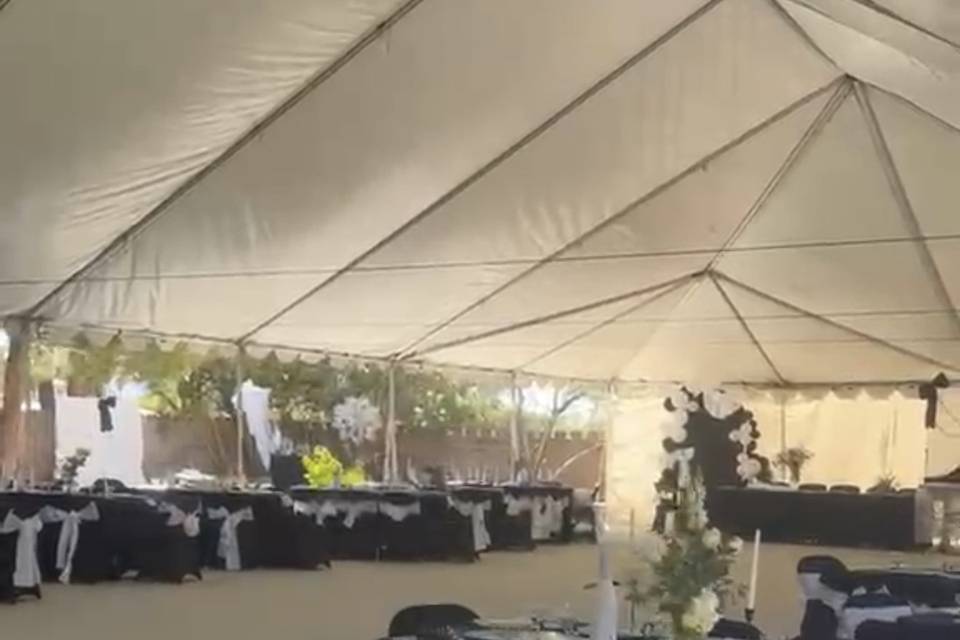 Quinceañera backdrop