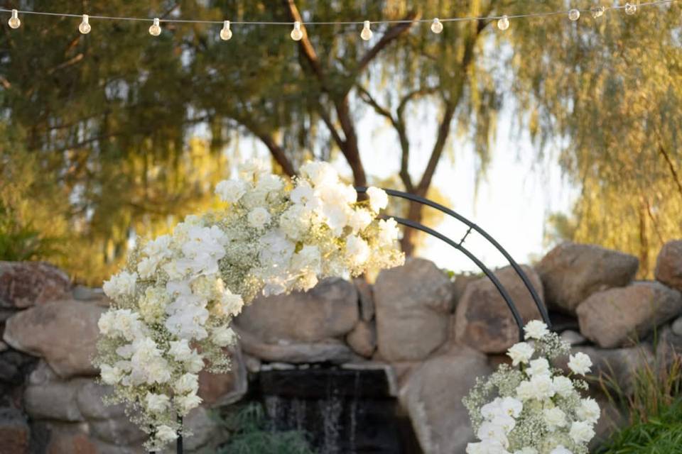 Backdrop rental
