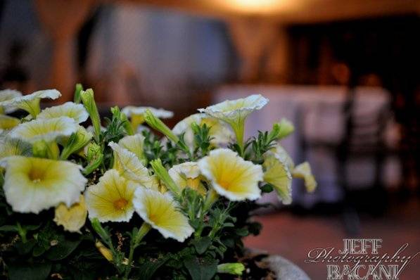 JMB Photography