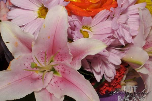 JMB Photography